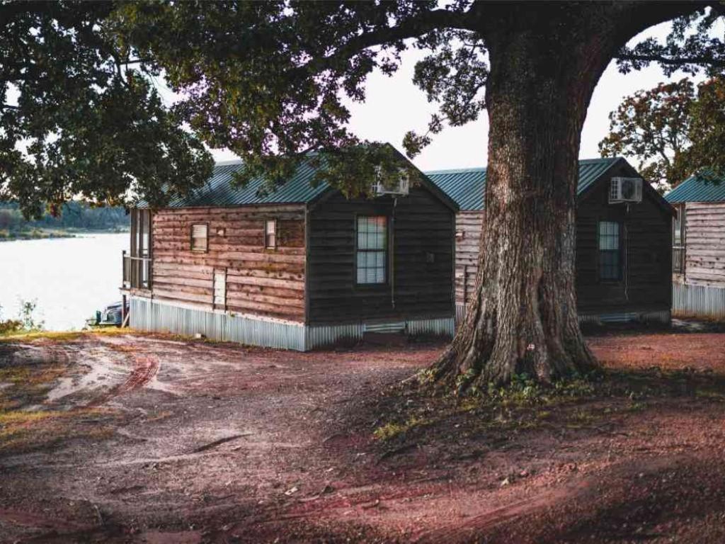 Lakeview Cedar Cabin - Striper King - 5 Mead المظهر الخارجي الصورة